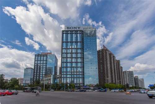 宝山区链条提升输送机怎么样